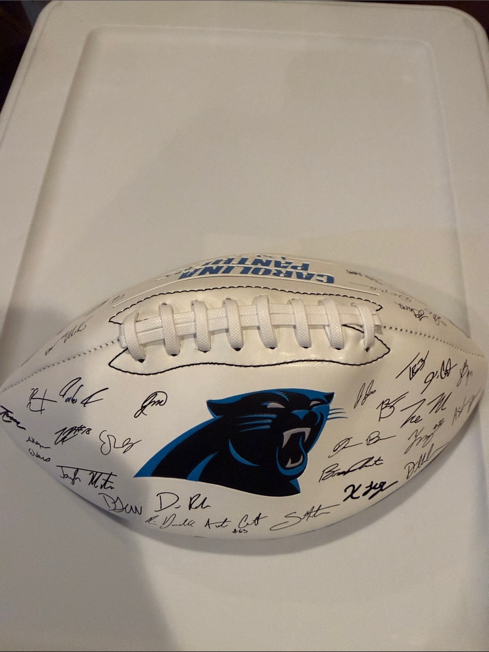 Carolina Panthers football
